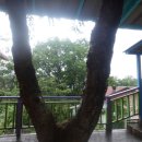 팔공테마리조트 이미지