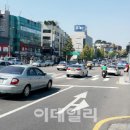 꿈틀 이미지