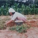 솔터농장 이미지