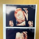 공인중개사 | 드디어..36회차 공인중개사 이제 남기는 후기