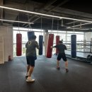 용인대SM복싱클럽 장기점 네이버블로그