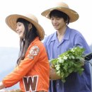 노란코끼리 Daum카페