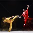 우슈쿵후 이미지