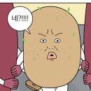 감자마을 이미지