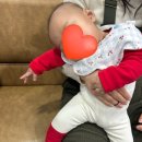 무청감자탕삼척점 이미지