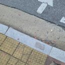 흑룡 합기도 서충주 | [서충주 체육관] 기업도시 JTA흑룡합기도 성인반 등록!
