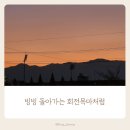 ❤️ 빙빙 돌아가는 회전목마처럼, 나흘간 이어진 늦은 퇴근