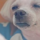 깔깔깔 이미지