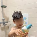[오가닉그라운드 탑투토워시] 티어프리제품으로 머리부터 발끝까지