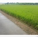 고성읍사무소 이미지