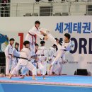 대한민국 태극시범단 이미지