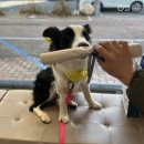 범어동물병원 이미지