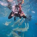 몰디브 | 🇲🇻 몰디브 여행 후기