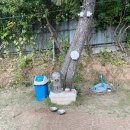 용호운동장 이미지