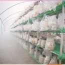 이용복농장 이미지