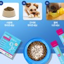 펫니즈