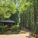 우성광장공인중개사사무소 | [목동우성2차 임장기 2편]목동 학군 가성비 대장주! 실거래가 흐름과 갈산 공원 숲세권 투어 📐 (하단...
