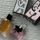 몽데이 | 입생로랑 몽파리 향수 리브르 노트 비교 후기