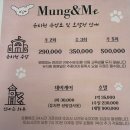 멍앤미 | 이천 송정동 애견호텔 멍앤미 비용 시간 위치