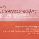 원썸머나잇 이미지