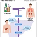 혈액 내 중성지방 수치 높으면 금주 필요 고지혈증과 영양 ＜3＞ 이미지