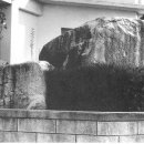 창원 외동지석묘 이미지