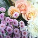 화훼장식기능사 이미지