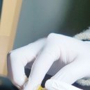 에스투디자인 이미지