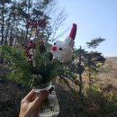 동탄꽃집 크리스마스꽃선물 플로앤드플라워