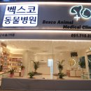 벡스코 동물병원 이미지