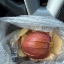 한기농장 | 31. 어린이의 봄방학 주간