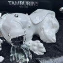 선샤인퍼피 이미지