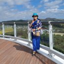 홍성 스카이 타워 이미지