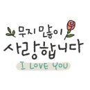 쌍문경희태권도 이미지