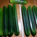 방자농장 이미지