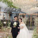 블라썸모먼트 | [코모도모먼트] 부산 W웨딩 국민연금 컨벤션홀 촬영후기 | comodo moment | 부산아이폰스냅