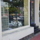 개키우는 언니 이미지