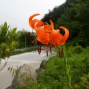 고향내음 이미지