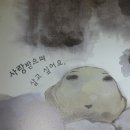 숨쉬는 돌 이미지