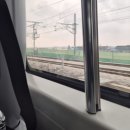 전주 | 봄맞이 1박 2일 혼자 전주 여행 후기 _ 매화 구경