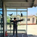 신대레포츠공원 | 경기공유학교 평택 P-L.A.Y 국궁