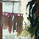 [일상] 4월; 5주차를 위한 추진력