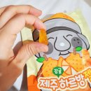 큰엉제주몽땅소품샵및편의점