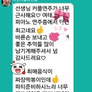 종촌초등학교 이미지