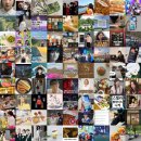인기 블로그 포스팅 모음:매일 상위 랭크의 인기 블로그 포스팅만 모아! 여기에 모여! 이것만 보면됨!