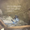 수원-1141 이미지