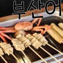 썬파크텔 이미지