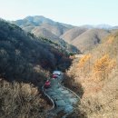 369 | 충남 신생캠핑장 더 캠프 369 후기, 완전 반전이었어요!