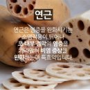 음식으로 보는 건강상식 - 연근(蓮根) - 설사 증상을 완화 이미지