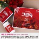 성경크린 이미지